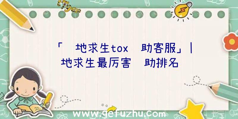 「绝地求生tox辅助客服」|绝地求生最厉害辅助排名